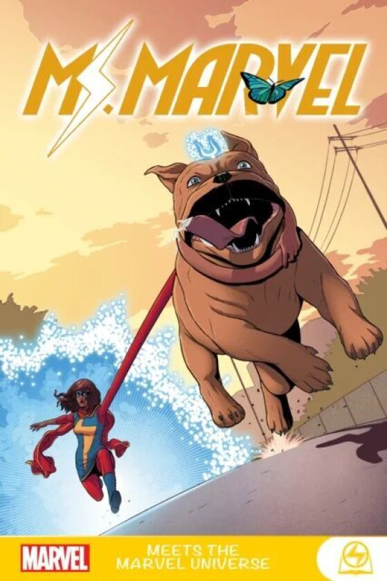 Ms. Marvel Meets The Marvel Universe av G Willow Wilson, Mark Waid, Amy Reeder