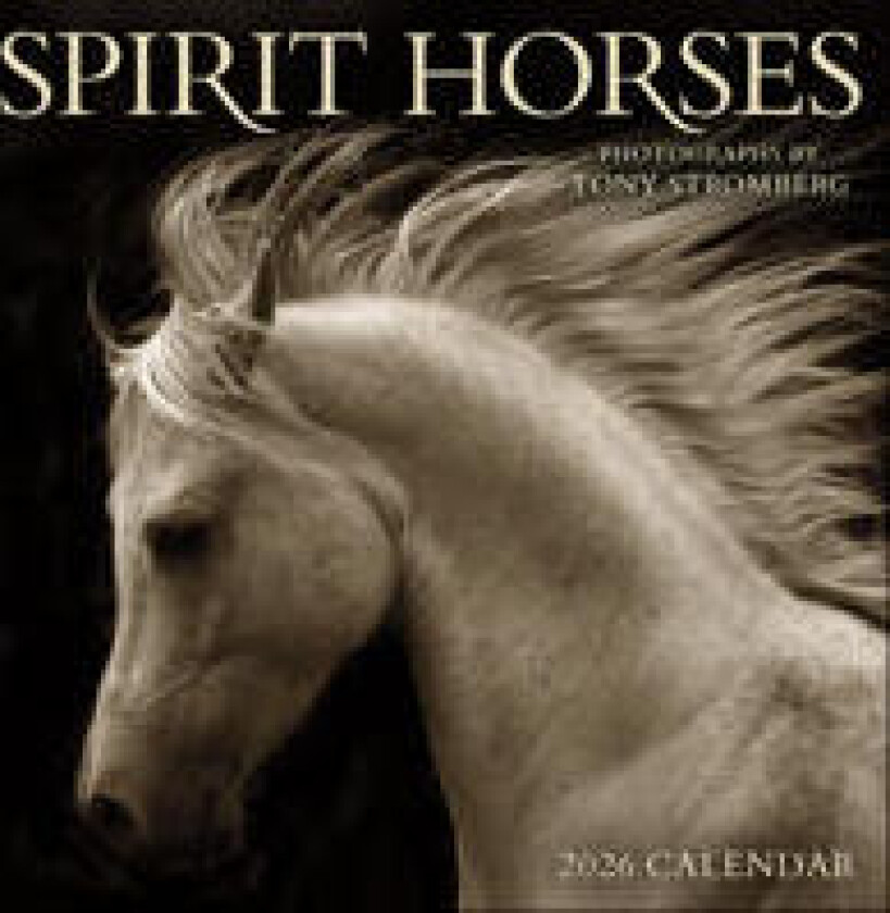 Spirit Horses 2026 Wall Calendar by Tony Stromberg