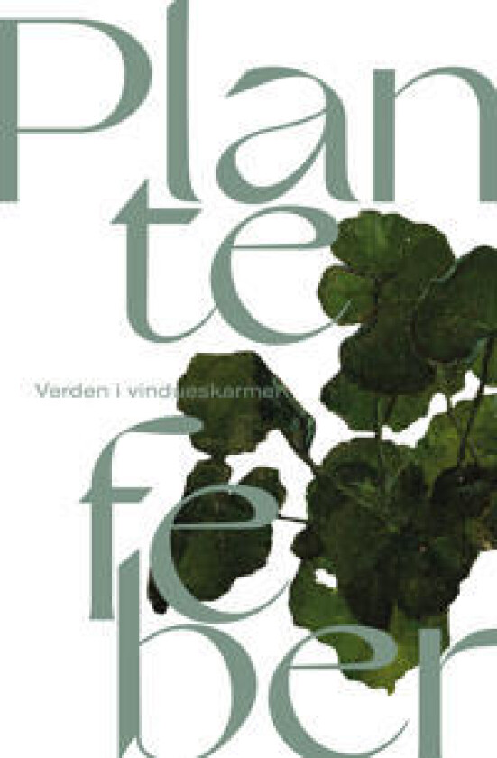 Plantefeber