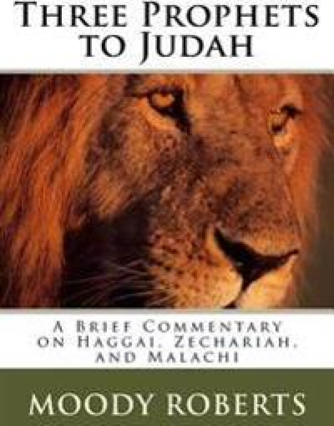 Three Prophets to Judah: A Brief Commentary on Haggai, Zechariah, and Malachi