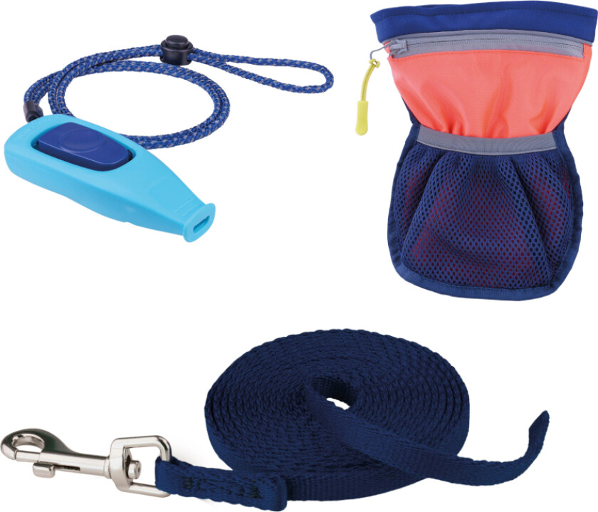 Puppy & Mini Starter Training Kit - Treningssett med 2,5 m lang og 15 mm bred treningsbånd