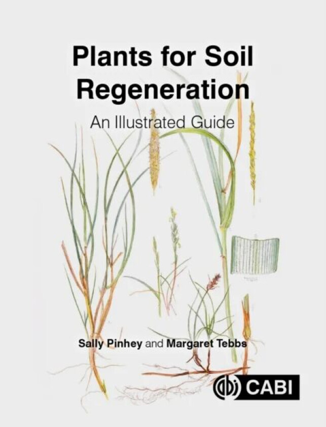 Plants for Soil Regeneration av Sally (Institute of Analytical Plant Illustration UK) Pinhey, Margaret (Institute of Analytical Plant Illustration UK)