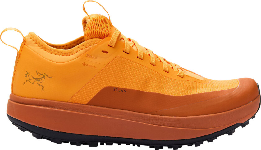 Men's Sylan Gore-tex Blaze/dark Copper Sky 10