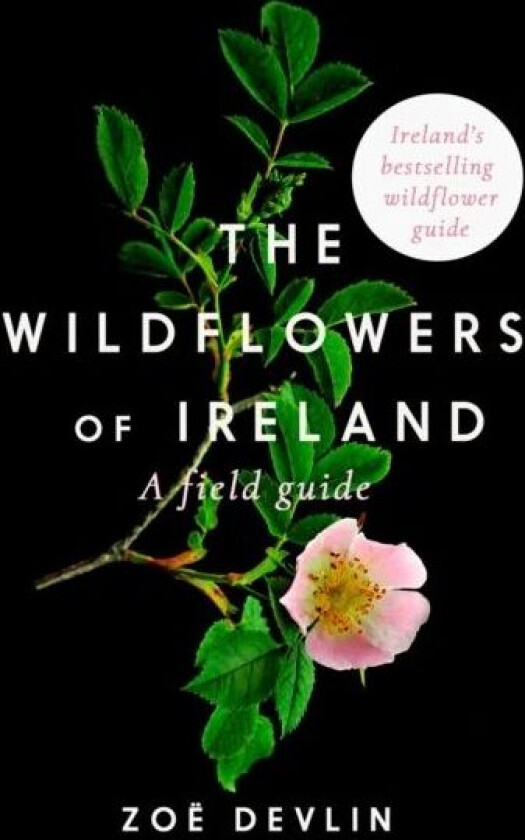 The Wildflowers of Ireland av Zoe Devlin