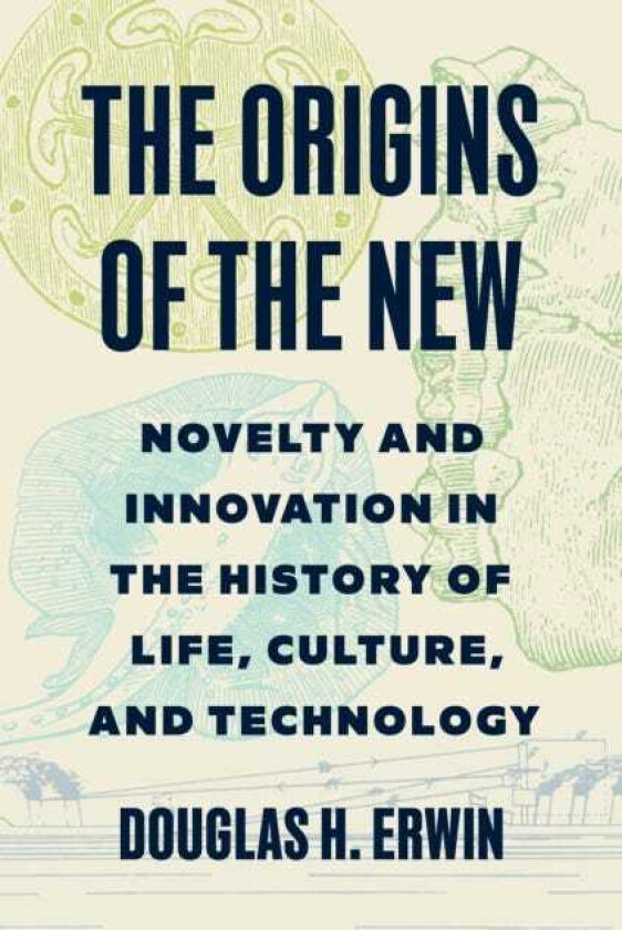 The Origins of the New Novelty and Innovation in the History of Life, Culture, and Technology