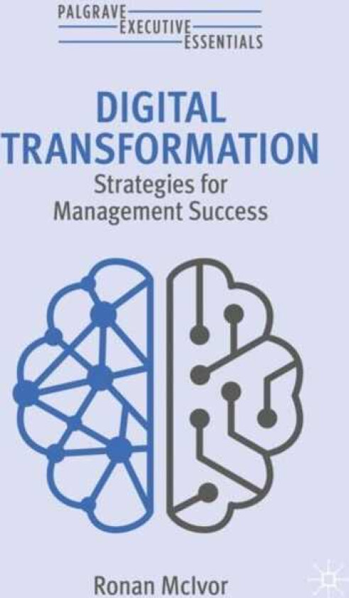 Digital Transformation Strategies for Management Success