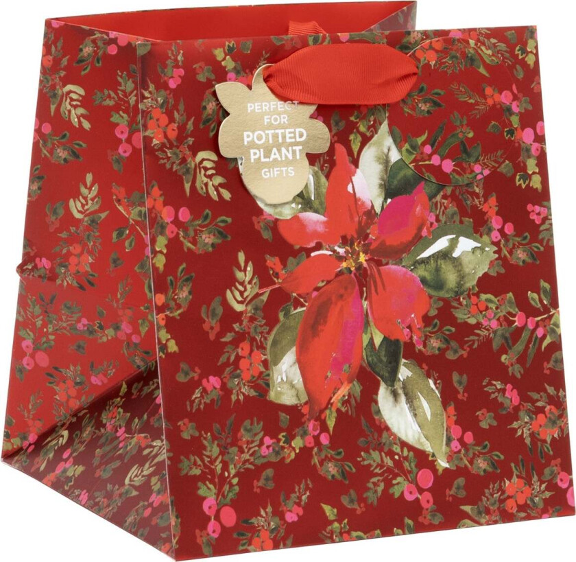 Gavepose Plante Perfect Poinsettia Red