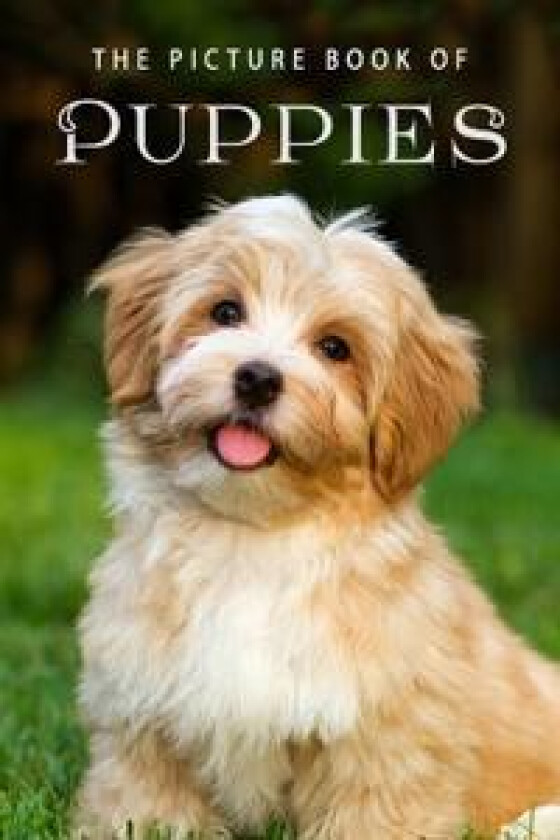 The Picture Book of Puppies