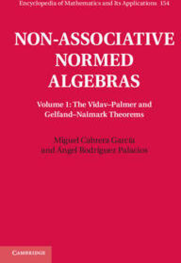 Non-Associative Normed Algebras