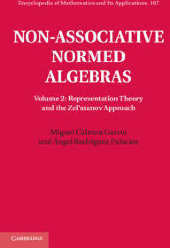 Non-Associative Normed Algebras