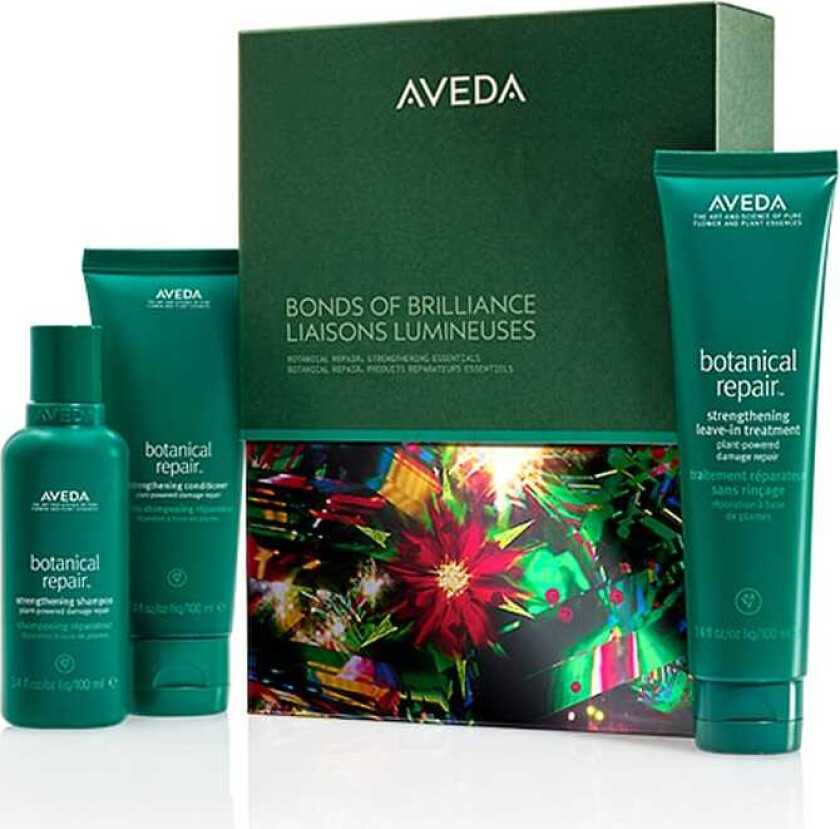 Botanical Repair™ Strengthening Essentials Gift Box