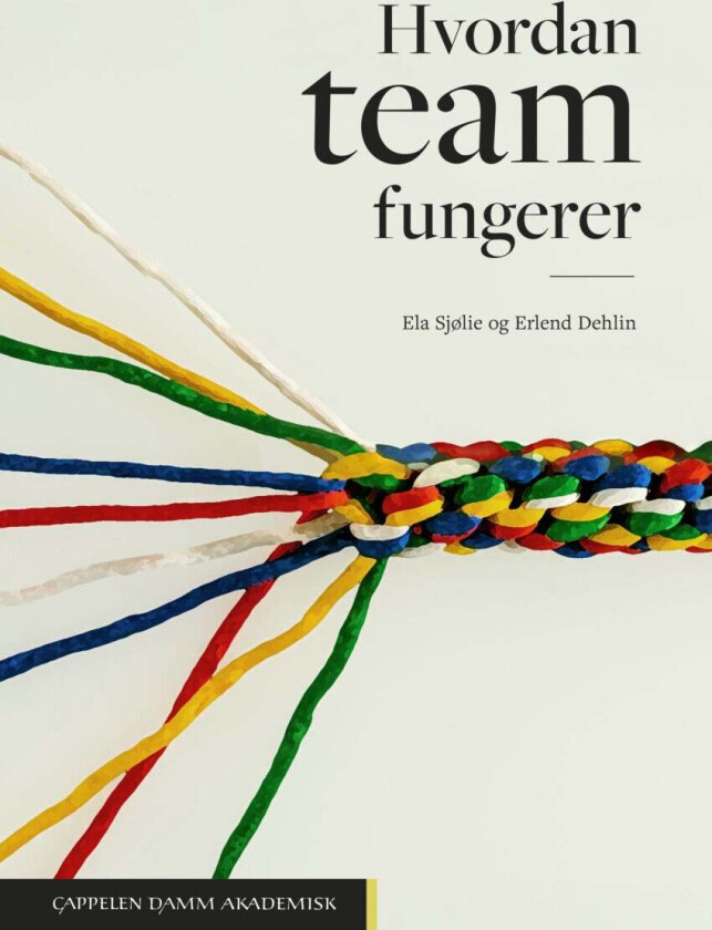 Hvordan team fungerer av Erlend Dehlin, Ela Sjølie