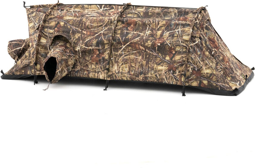 Buteo Falco Mark IV Camouflage Telt - Insektnett, Vanntett - Multifarvet