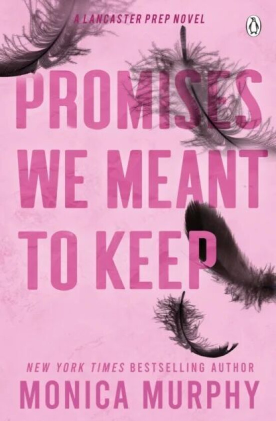 Promises We Meant To Keep av Monica Murphy