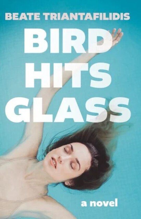 Bird Hits Glass av Beate Triantafilidis