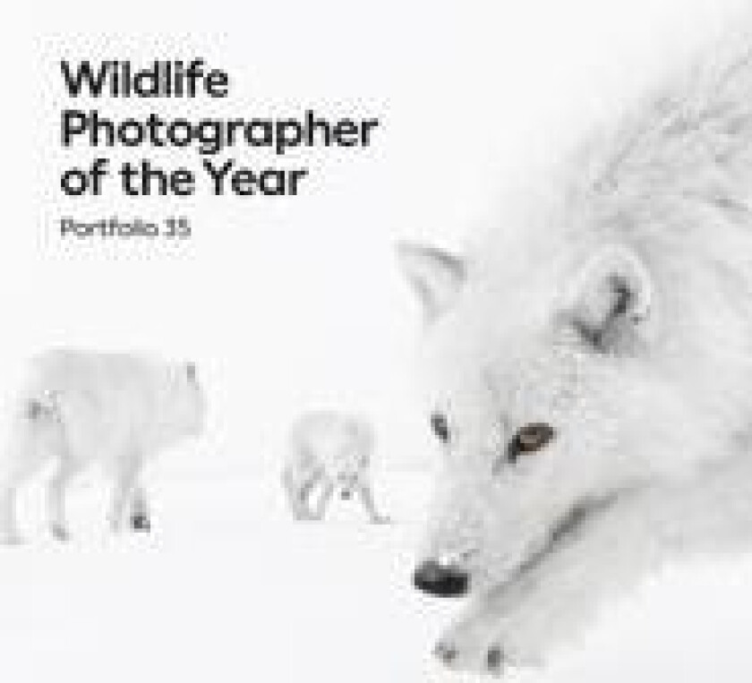 Wildlife Photographer of the Year: Portfolio 35