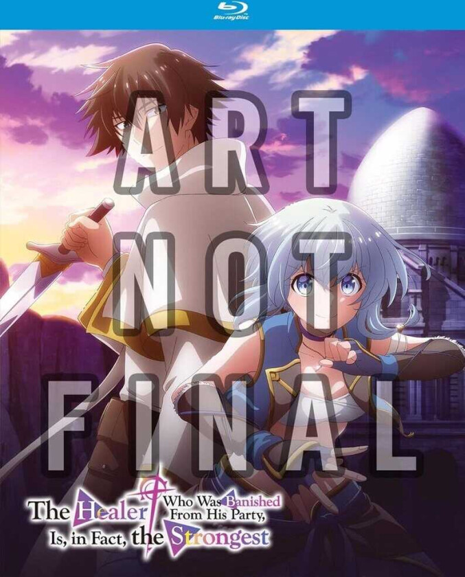 Healer Who Was Banished From His Party Comp Ssn Bluray