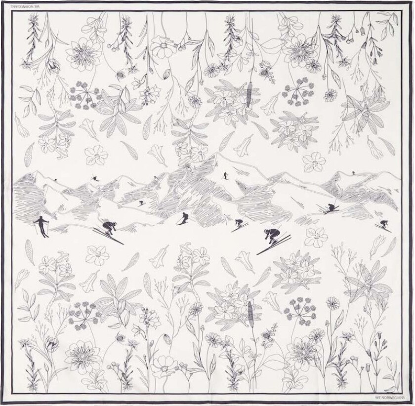 Bilde av Alps Silk Scarf Off White