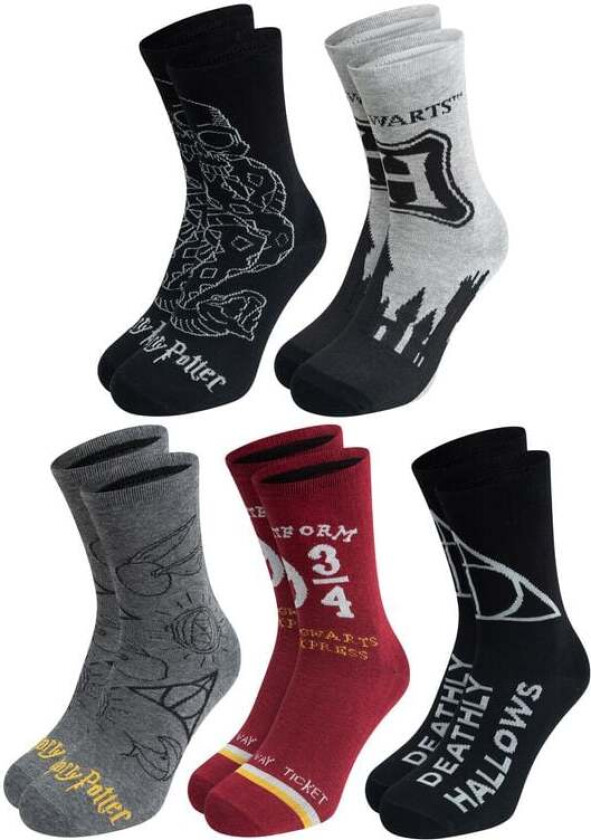 Sokker - Sokker (5-pakke) - EU 40-45 - Herrer - flerfarget