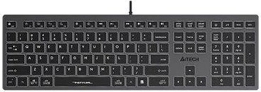 FSTYLER FX60H - Tastatur - Grå