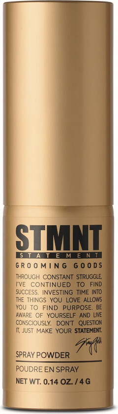Spray Powder Extra Matte Finish 4 g