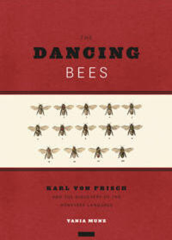 The Dancing Bees