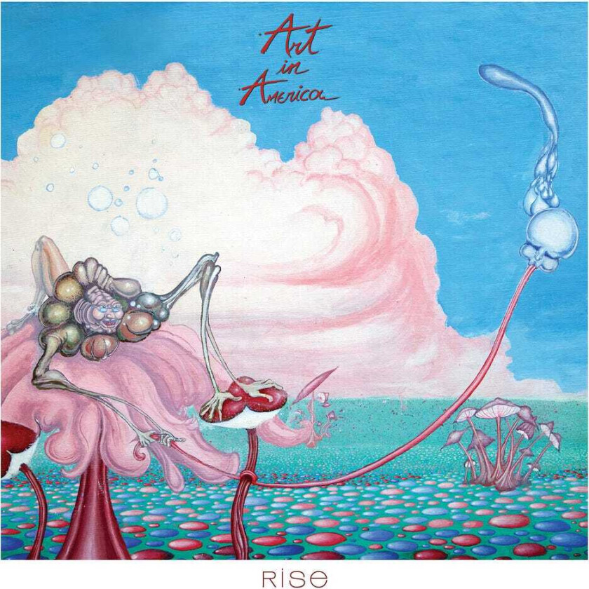 Art In America Rise CD