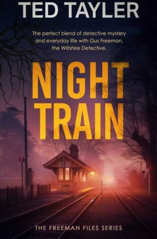 Night Train A Cold Case Murder Mystery Series