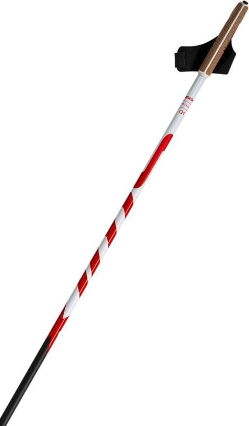 Q1 TCS Rålängd Langrennsstaver, 175 CM RÅLÄNGD