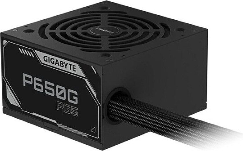 Bilde av P650G Strømforsyning (PSU) - 650 Watt - 120 mm - ATX - 80 Plus Gold sertifisert