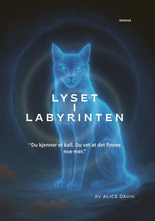 Lyset i labyrinten av Alice Davik
