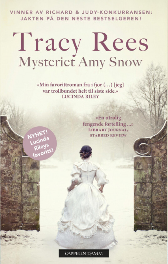 Mysteriet Amy Snow av Tracy Rees