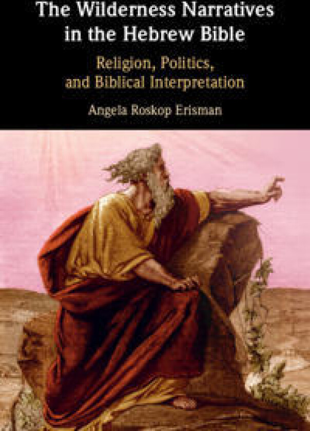 The Wilderness Narratives in the Hebrew Bible