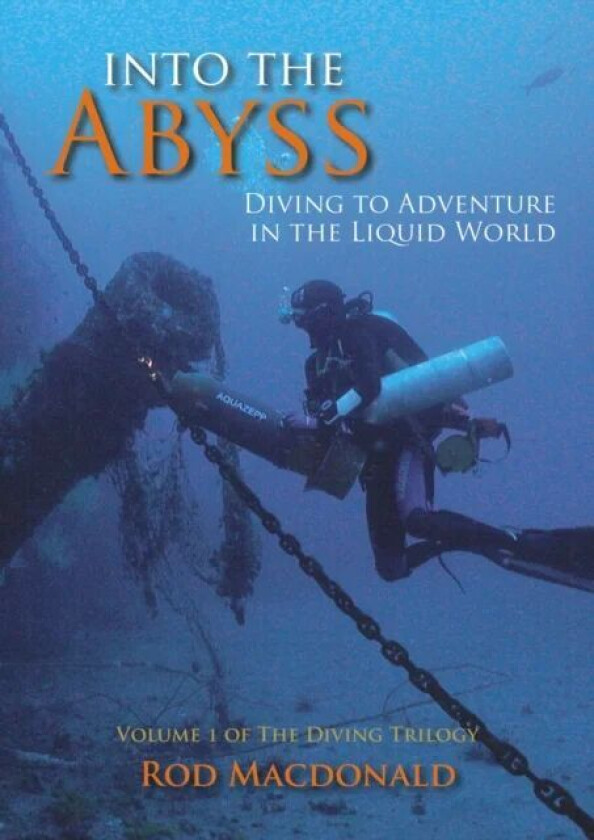Into the Abyss av Rod Macdonald