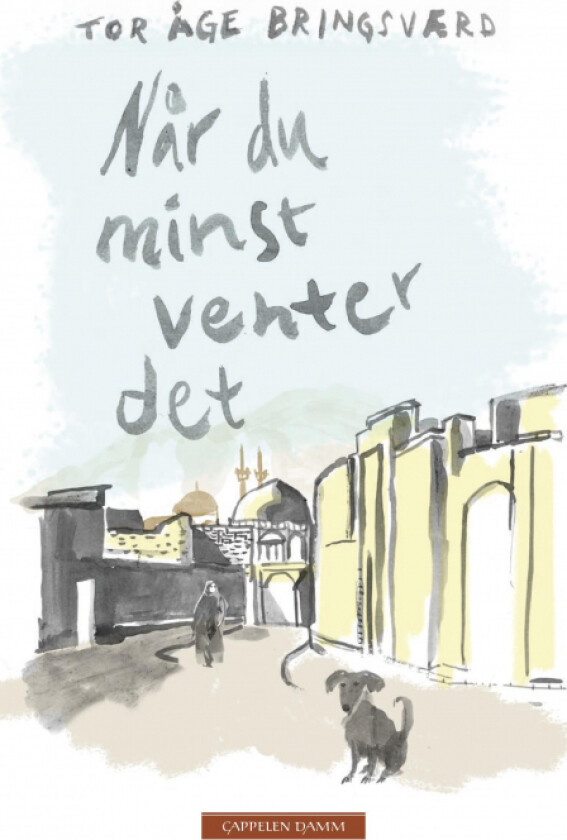 Når du minst venter det av Tor Åge Bringsværd