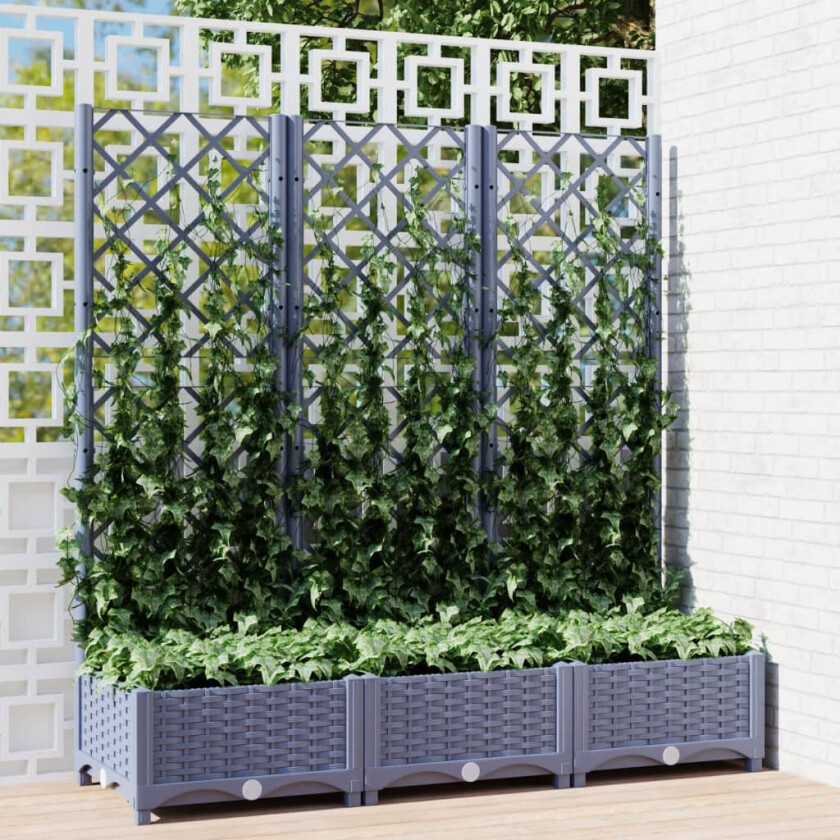 Plantekasse med espalier mørkegrå 120x40x121,5 cm PP