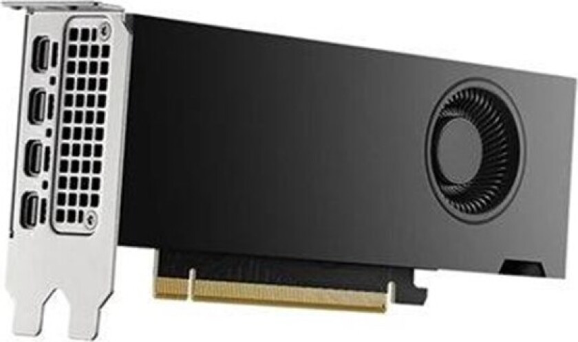 RTX 2000 Ada - 16GB GDDR6 RAM - Grafikkort
