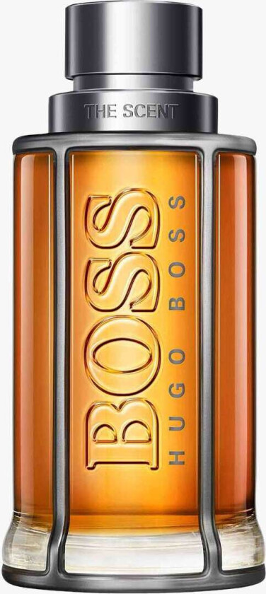 The Scent Eau de Toilette - 100 ml
