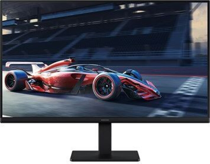 24" skjerm 24D304