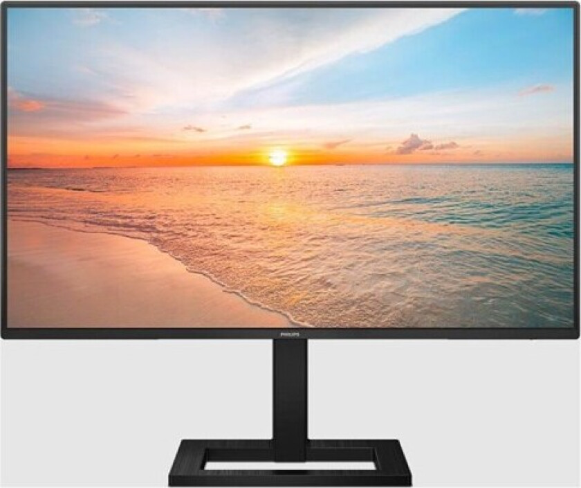 24" skjerm 24E1N1300AE/23