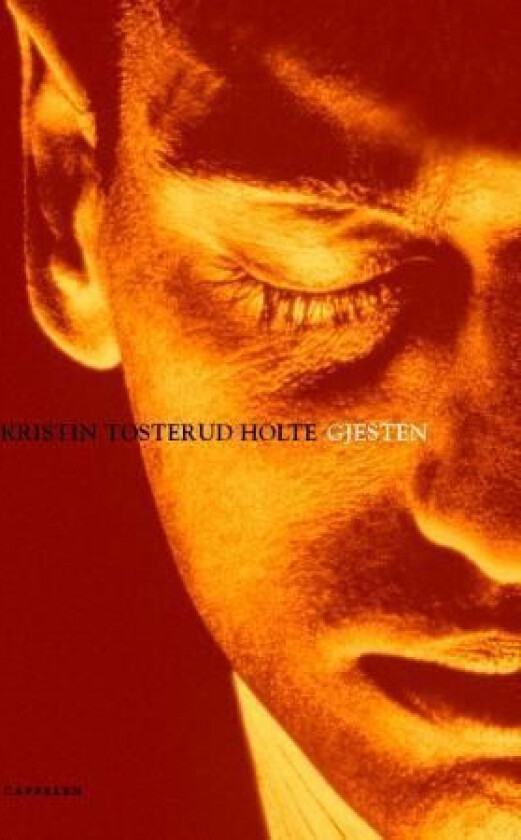Gjesten av Kristin Tosterud Holte