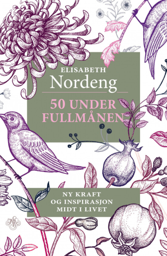 50 under fullmånen av Elisabeth Nordeng