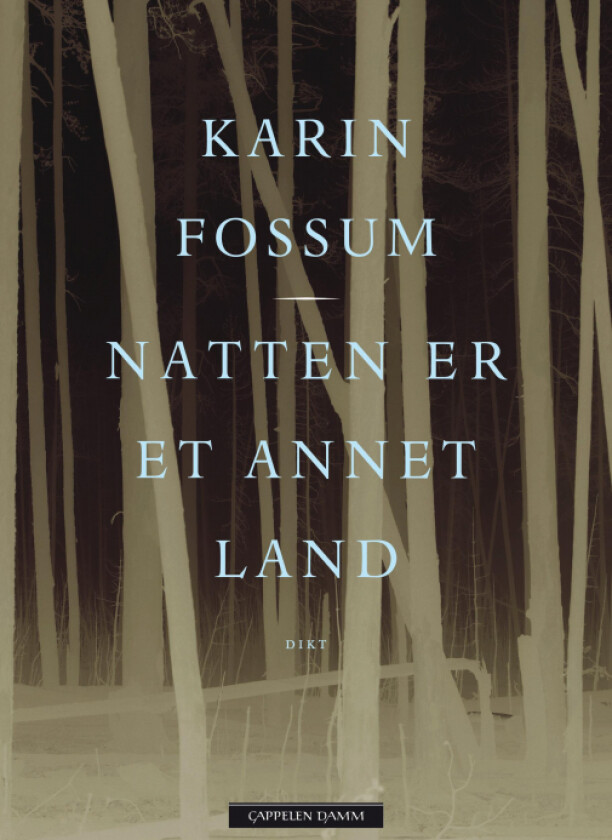 Natten er et annet land av Karin Fossum