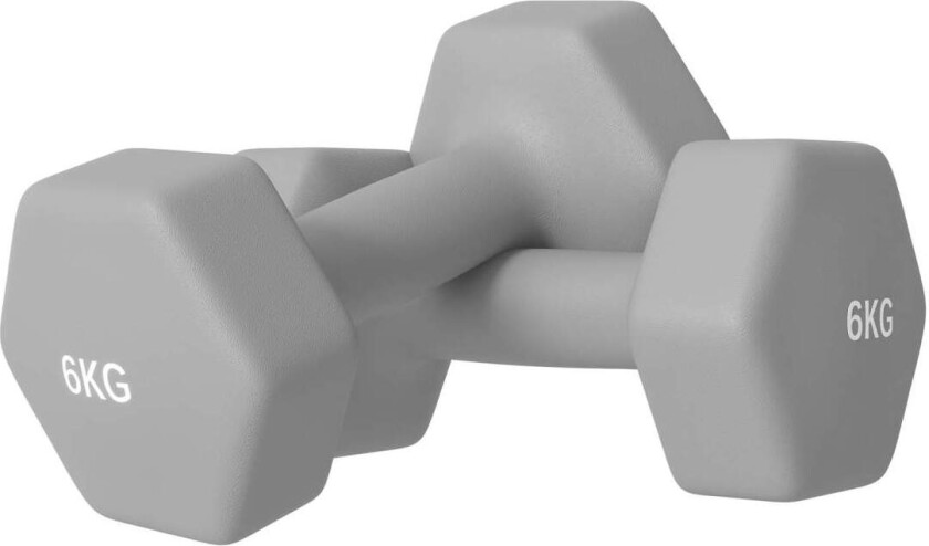 6 kg hantelsett med sekskant, sklisikker, gulvvennlig, grå