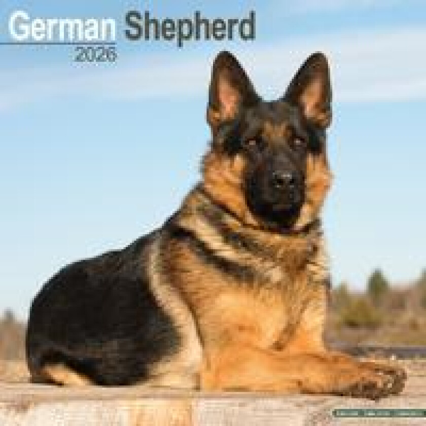 German Shepherd Calendar 2026 Square Dog Breed Wall Calendar - 16 Month