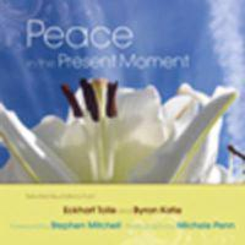 Peace in the Present Moment