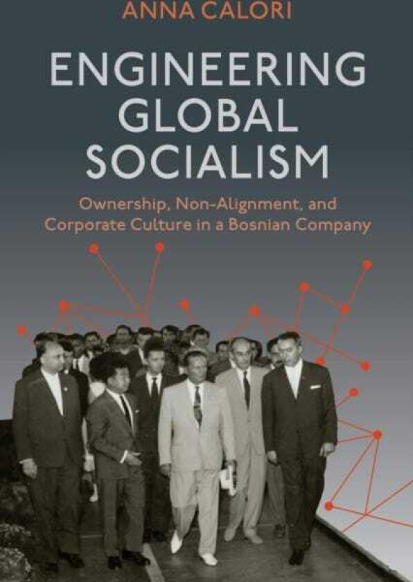 The Socialist Global Promise NonAlignment and Corporate Culture in a Bosnian Company