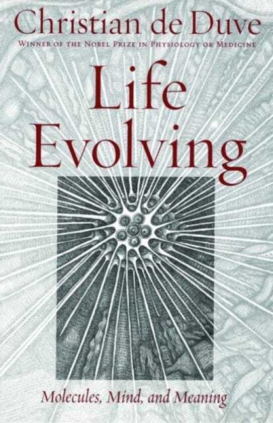 Life Evolving Molecules, Mind, and Meaning