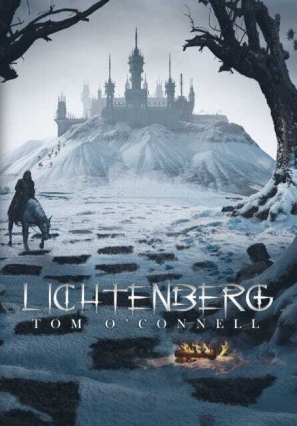 Lichtenberg Provocative & Immersive Dystopian Fiction