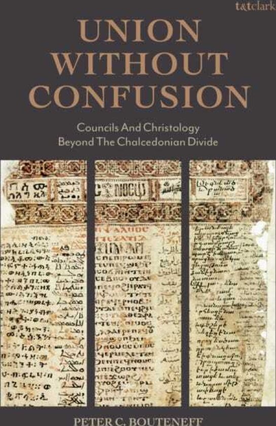 Union Without Confusion Councils and Christology Beyond the Chalcedonian Divide